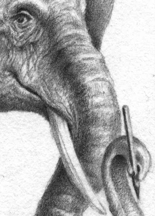 Phant with pen in hand, sketch detail