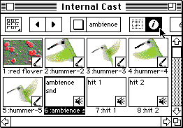 Info button in Cast window